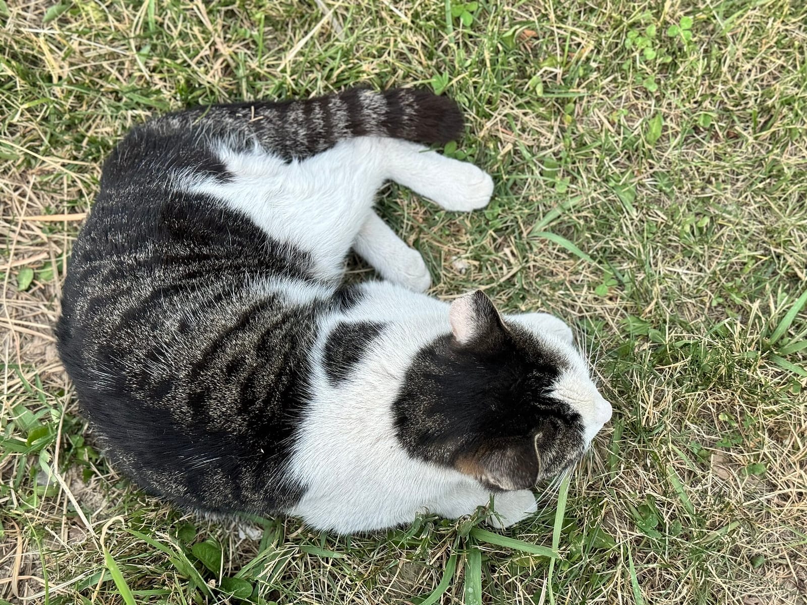 JUNE — Городское кафе в Ташкенте photo 3