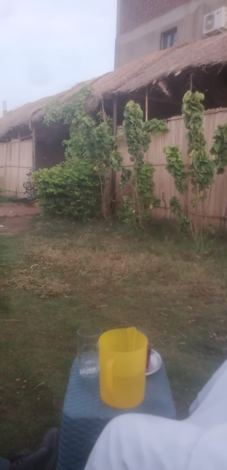 مقهى الحديقة garden café