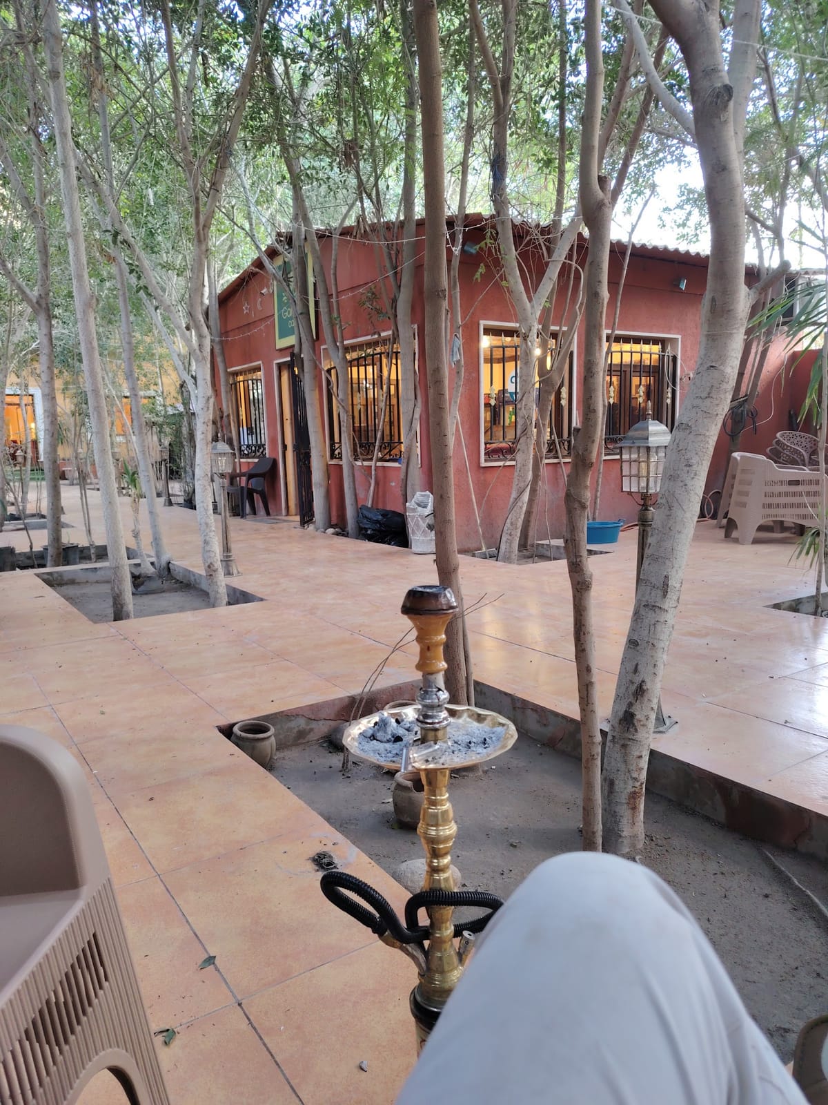 Cafe garden