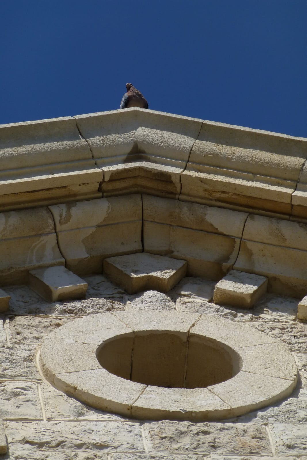 Aroma German Colony Haifa photo 4