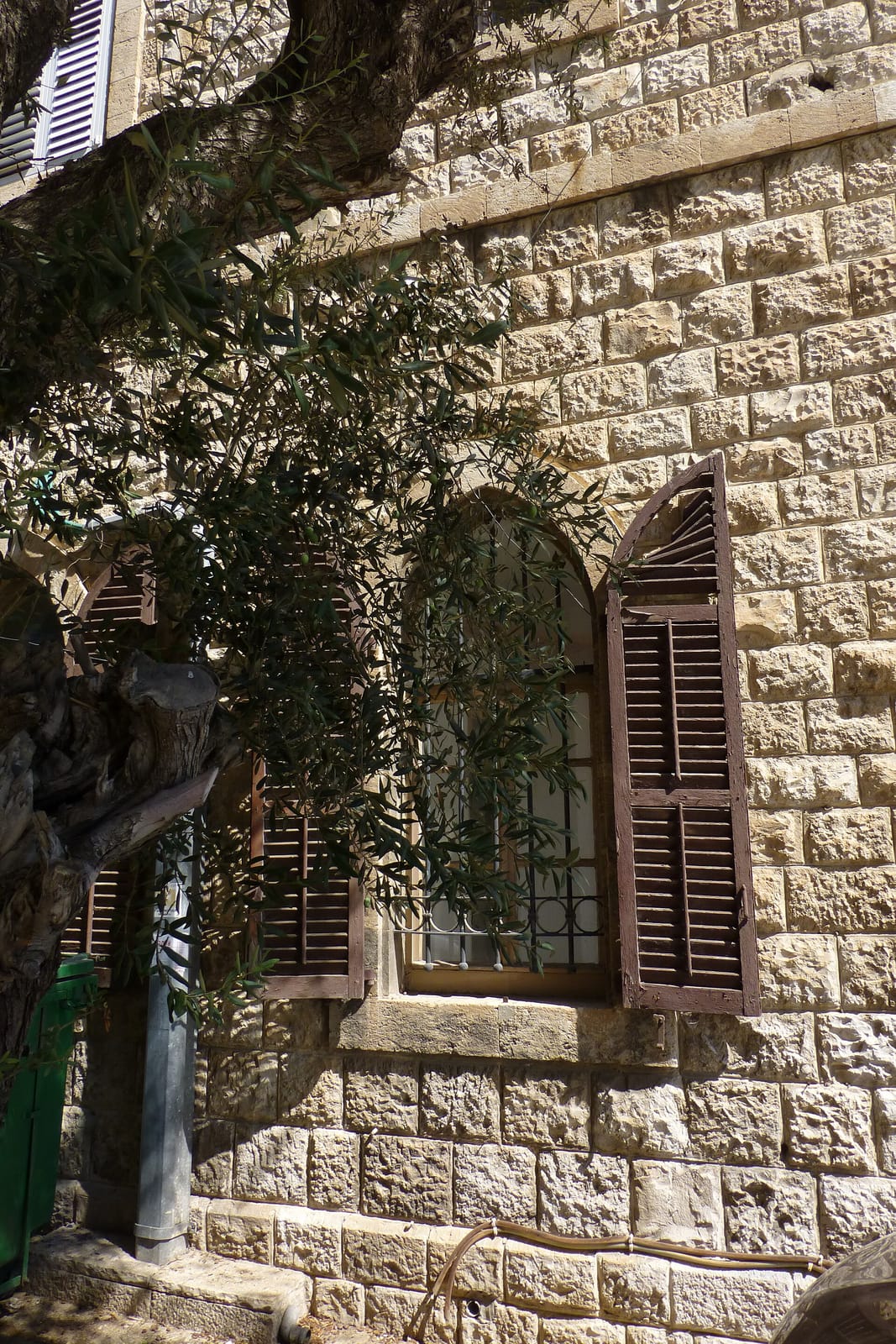Aroma German Colony Haifa photo 5