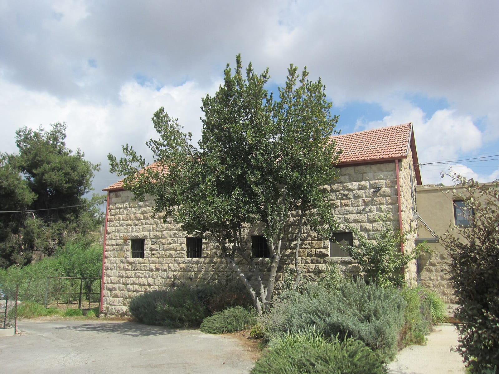 אלורו בית קפה Alloro cafe photo 3