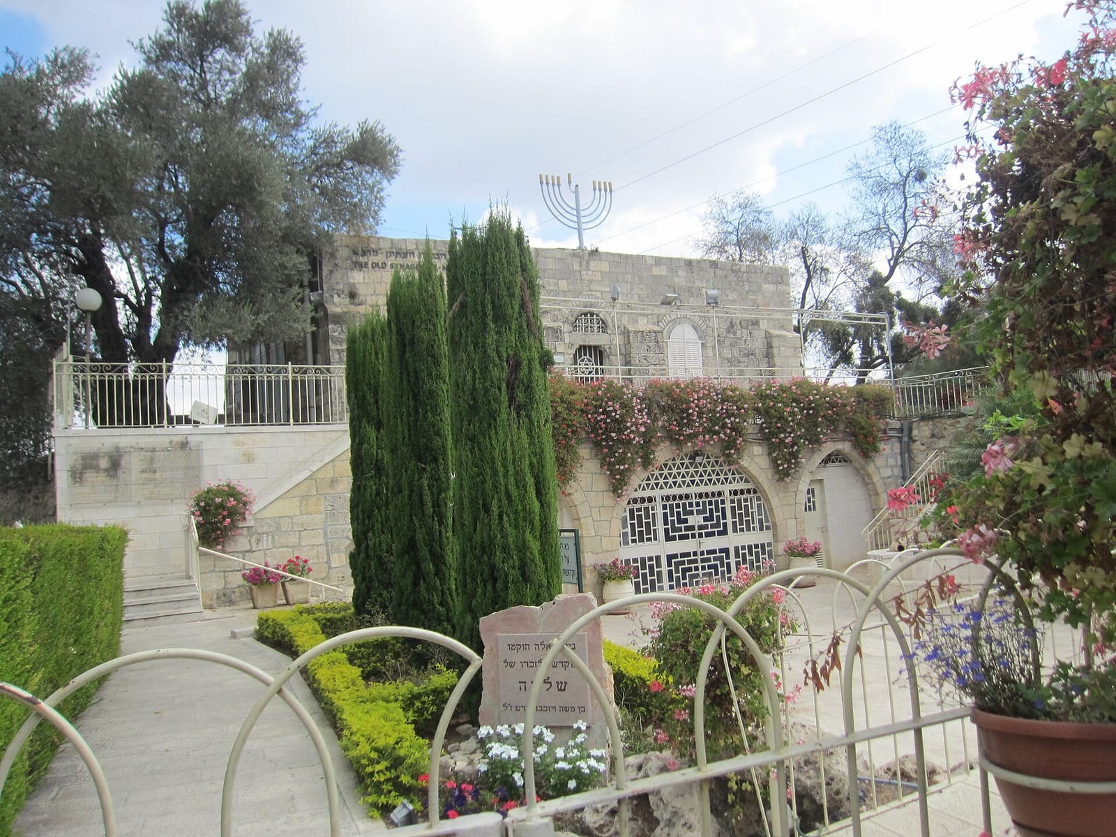 אלורו בית קפה Alloro cafe photo 2