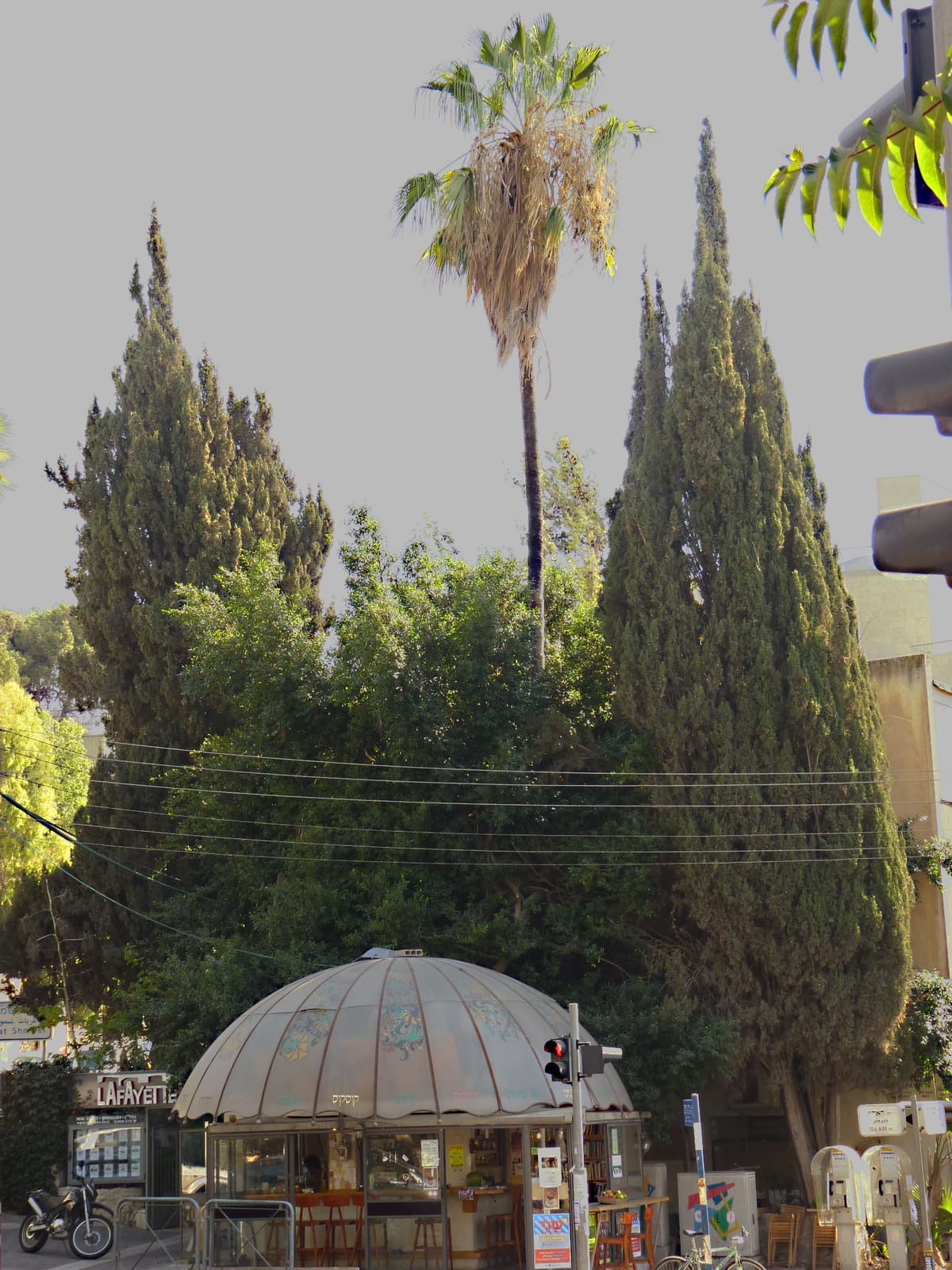 Carousela photo 3