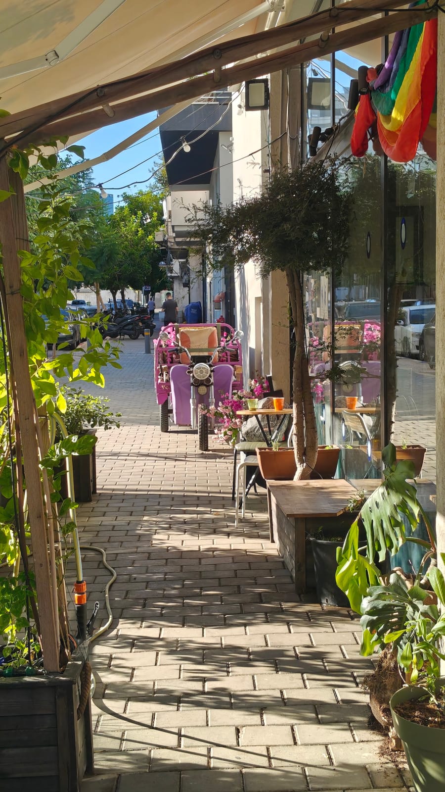 Cafe Zohar