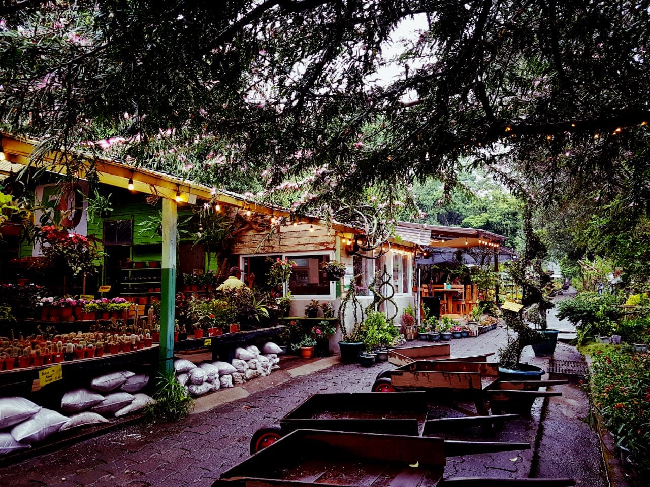 Coffee Room Zona 11