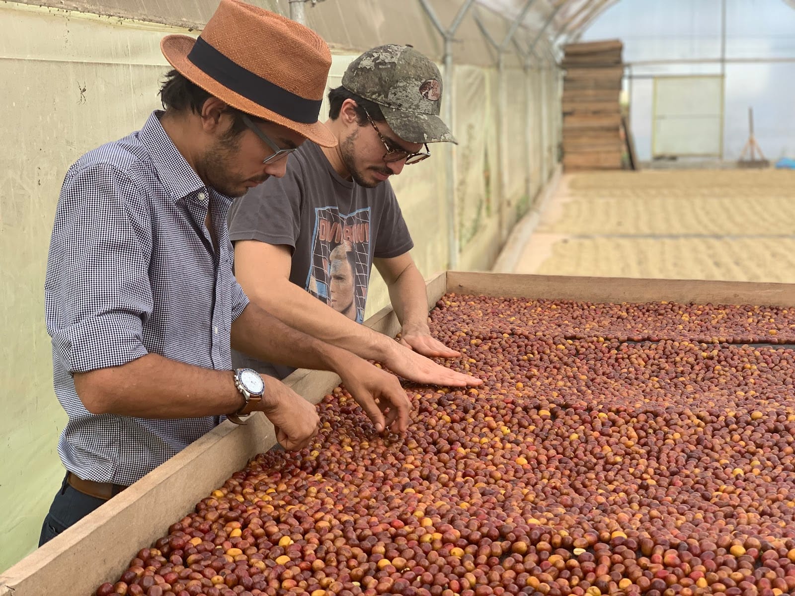 Huma Coffee Lab