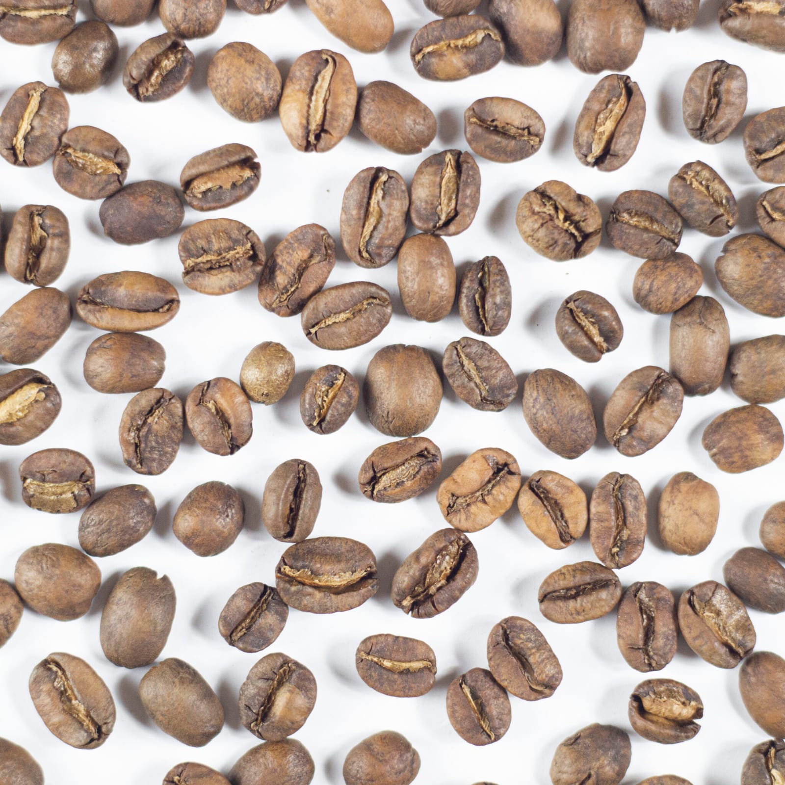 MTRM roast - specialty coffee micro roastery and showroom Budapest photo 5