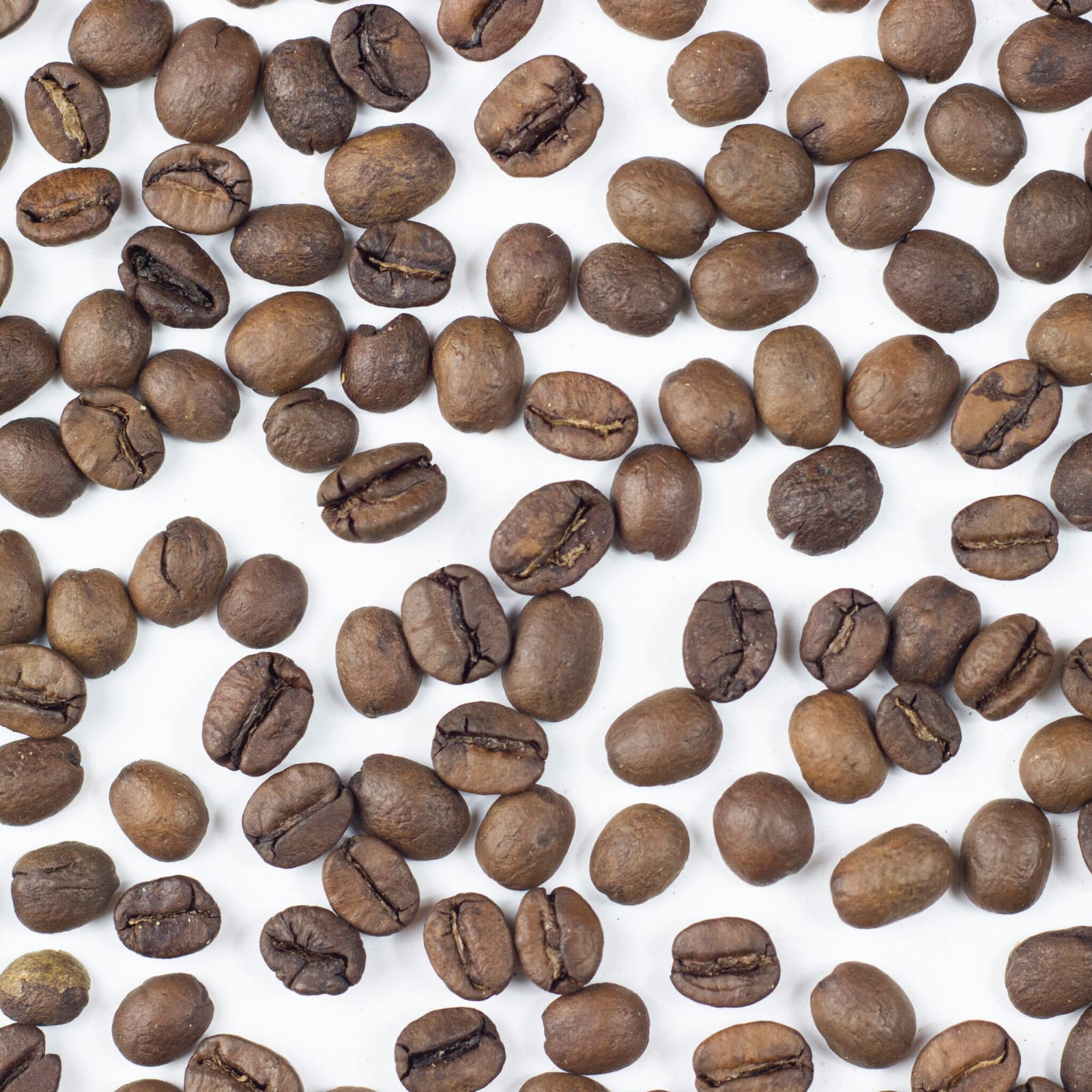MTRM roast - specialty coffee micro roastery and showroom Budapest photo 3