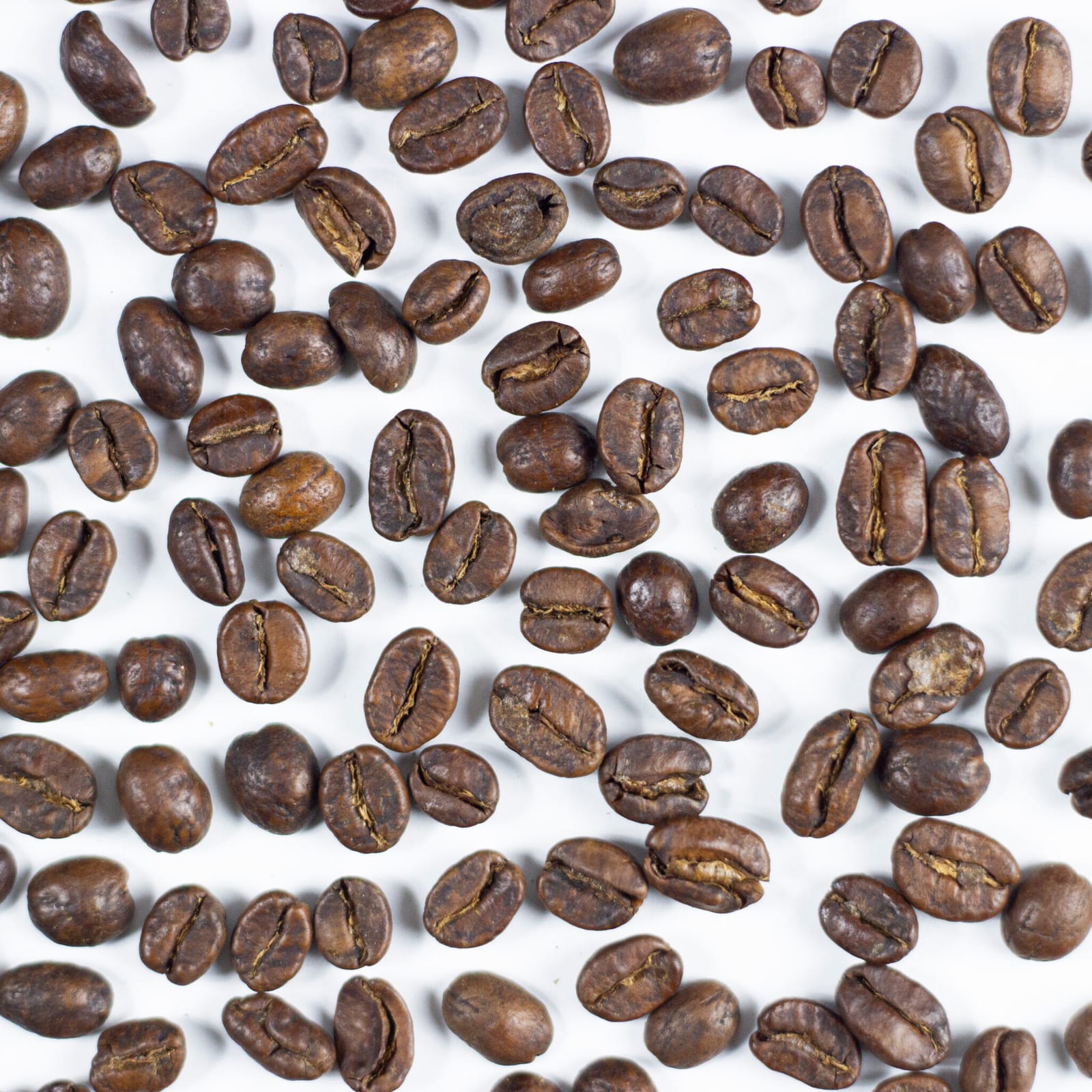 MTRM roast - specialty coffee micro roastery and showroom Budapest photo 9