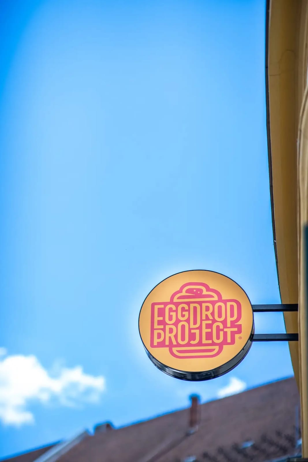 EGGDROP PROJECT - Brunch photo 4