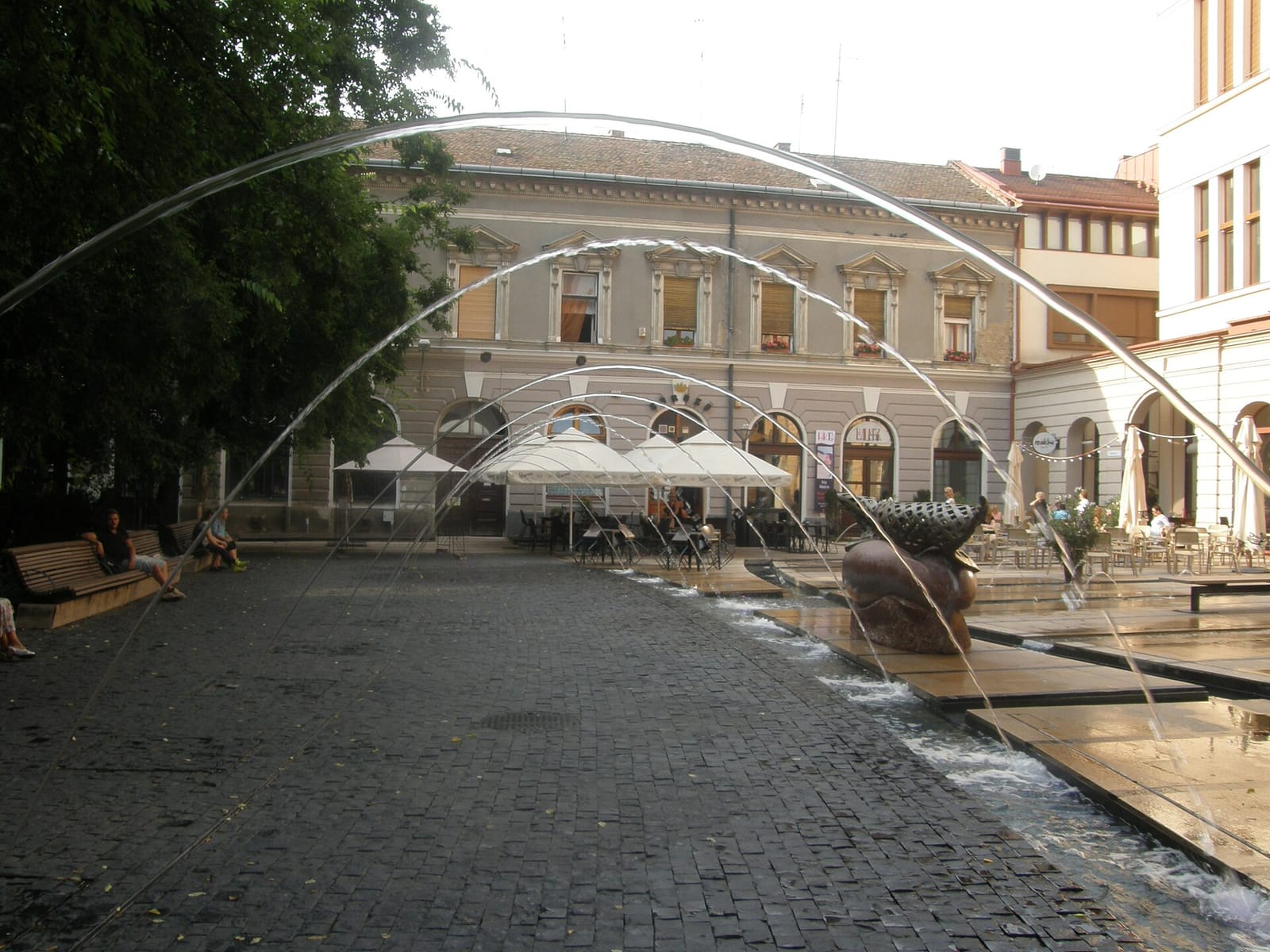 Cut & Coffee Debrecen photo 3