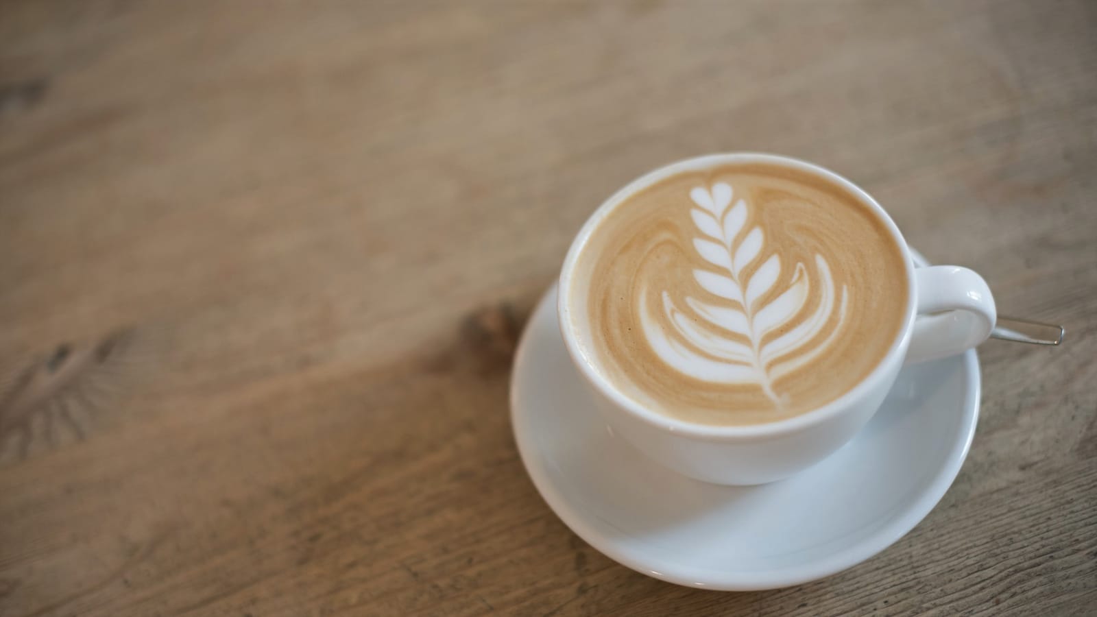 Ecocafe - organic specialty coffee shop photo 8
