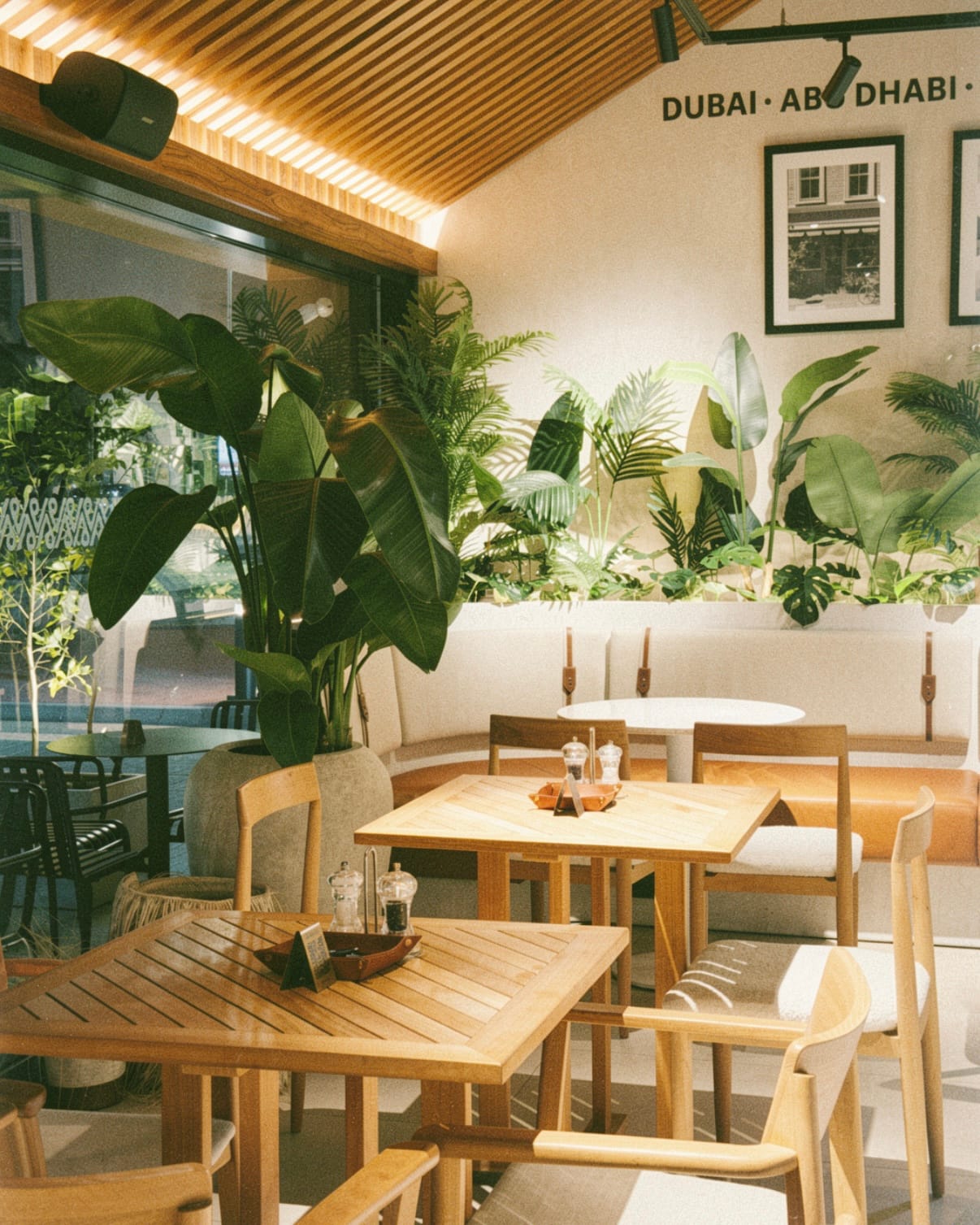 Saddle Cafe Ajman