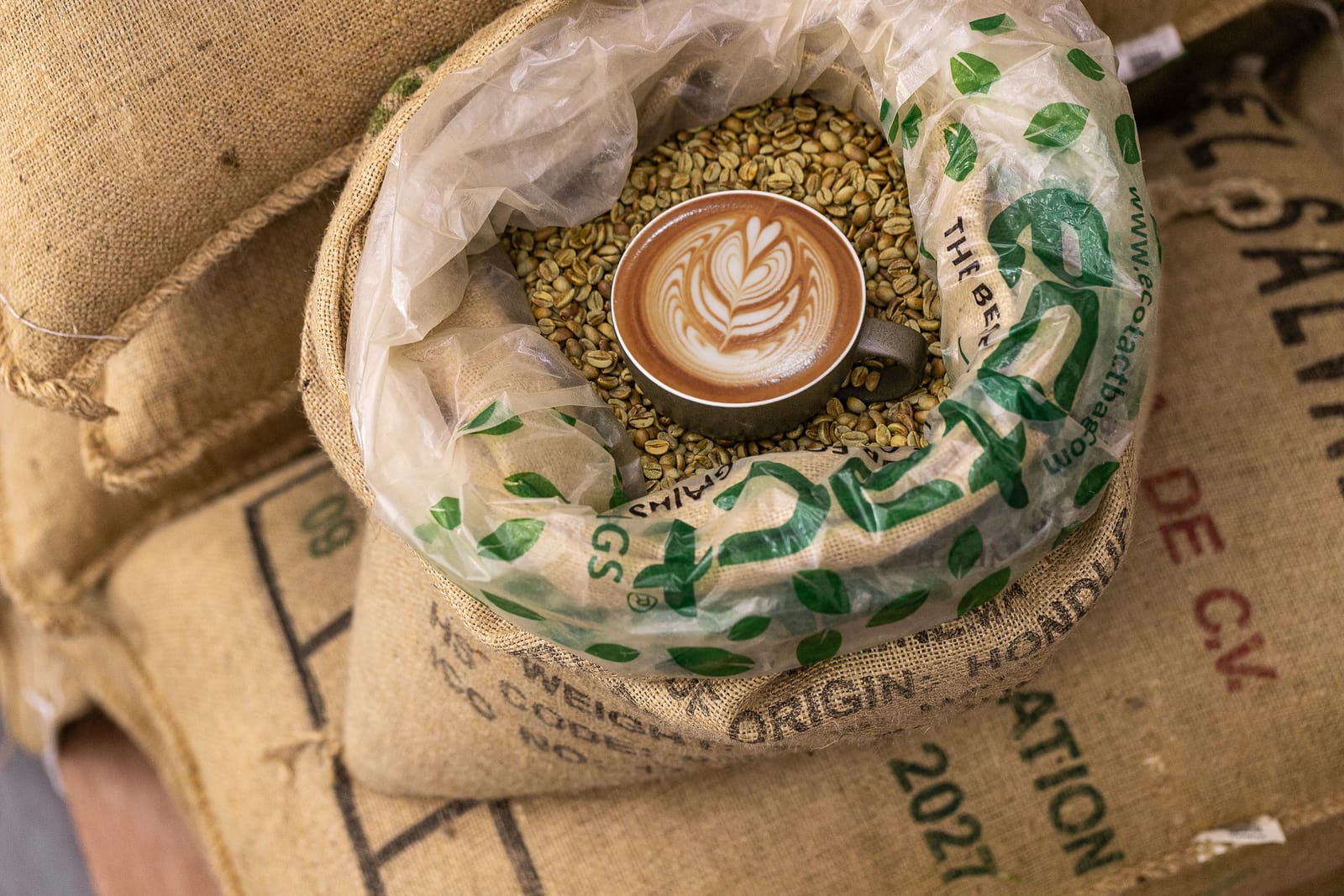 Roasters Specialty Coffee House Al Wasl photo 6