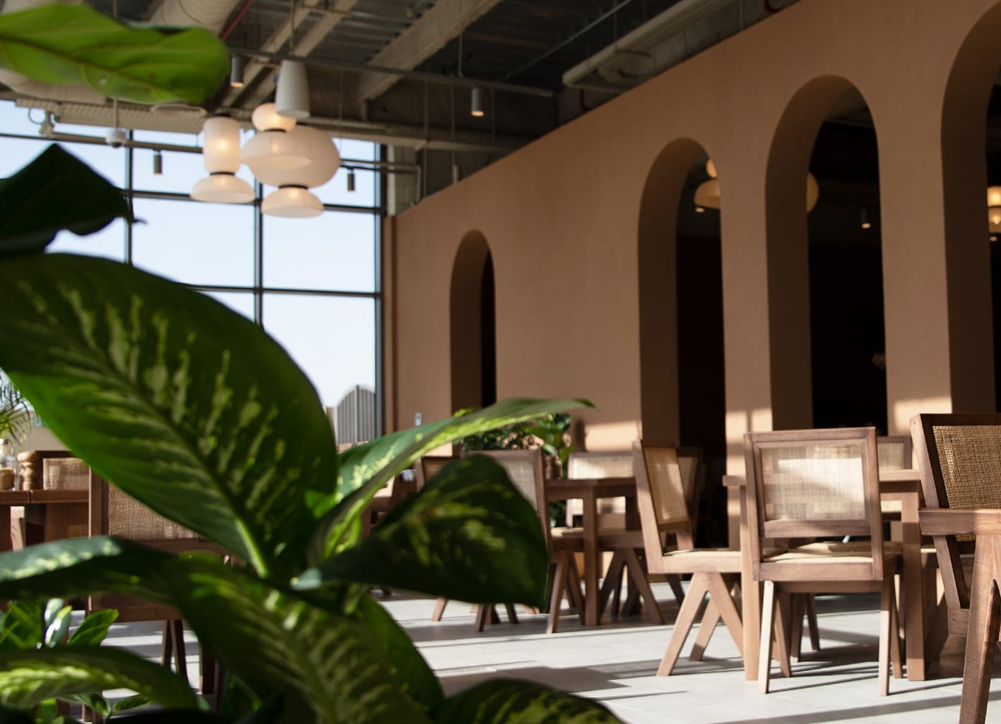 Harvest & Co - Dubai Garden Centre photo 5