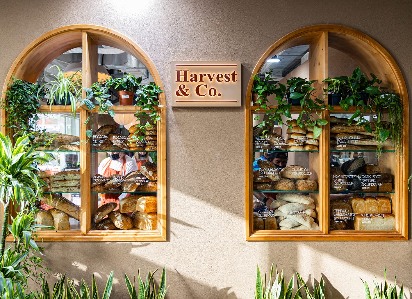 Harvest & Co - Dubai Garden Centre photo 4