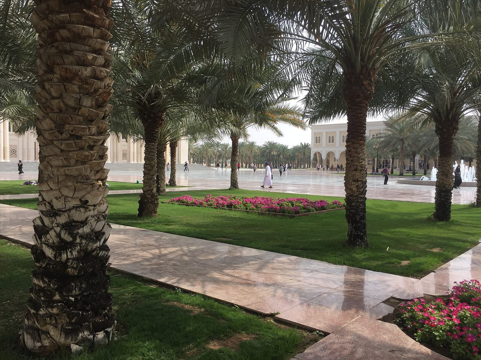 Kava & Chai • American University of Sharjah photo 2