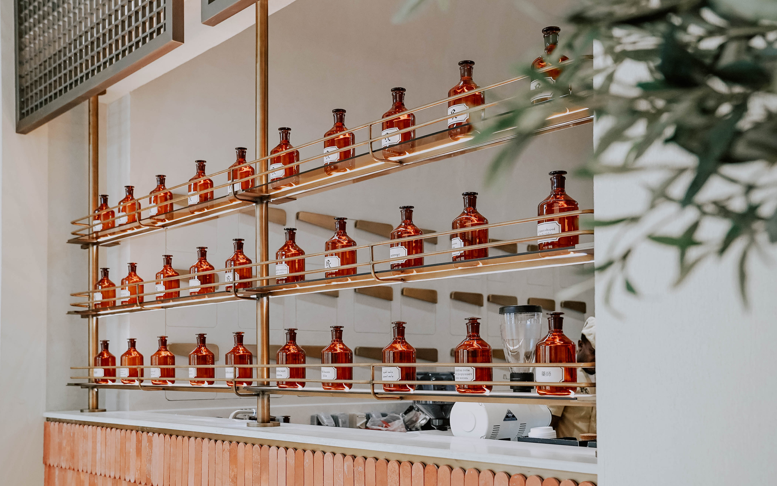 Rx Coffee Apothecary - AlZahia photo 2