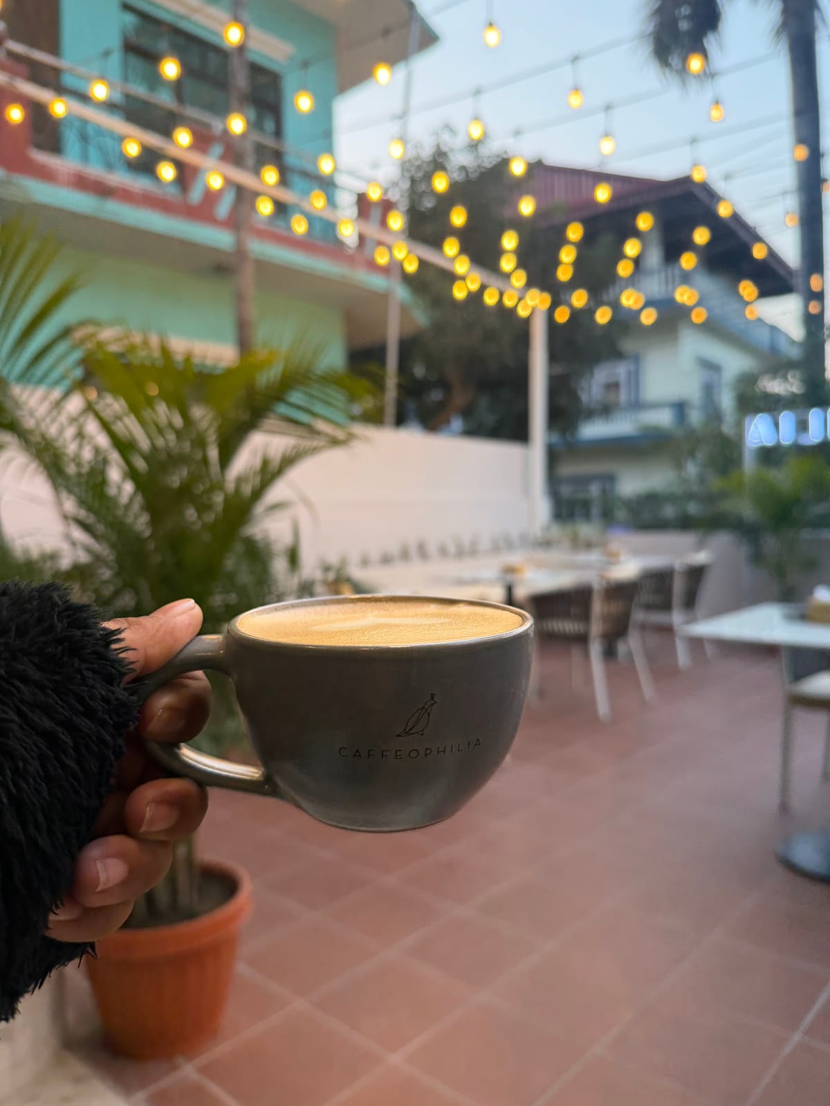 Caffeophilia Bharatpur