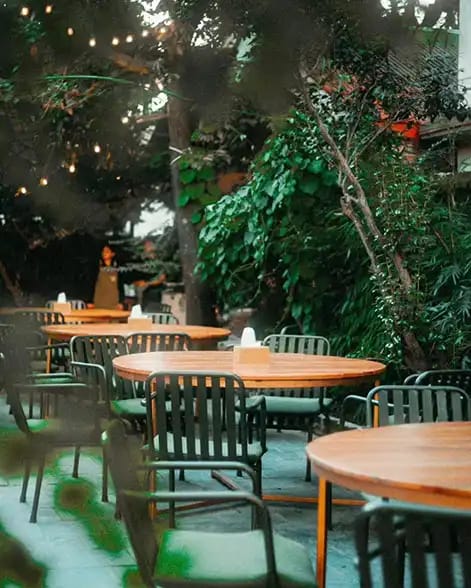 Apricus Garden Restaurant photo 4