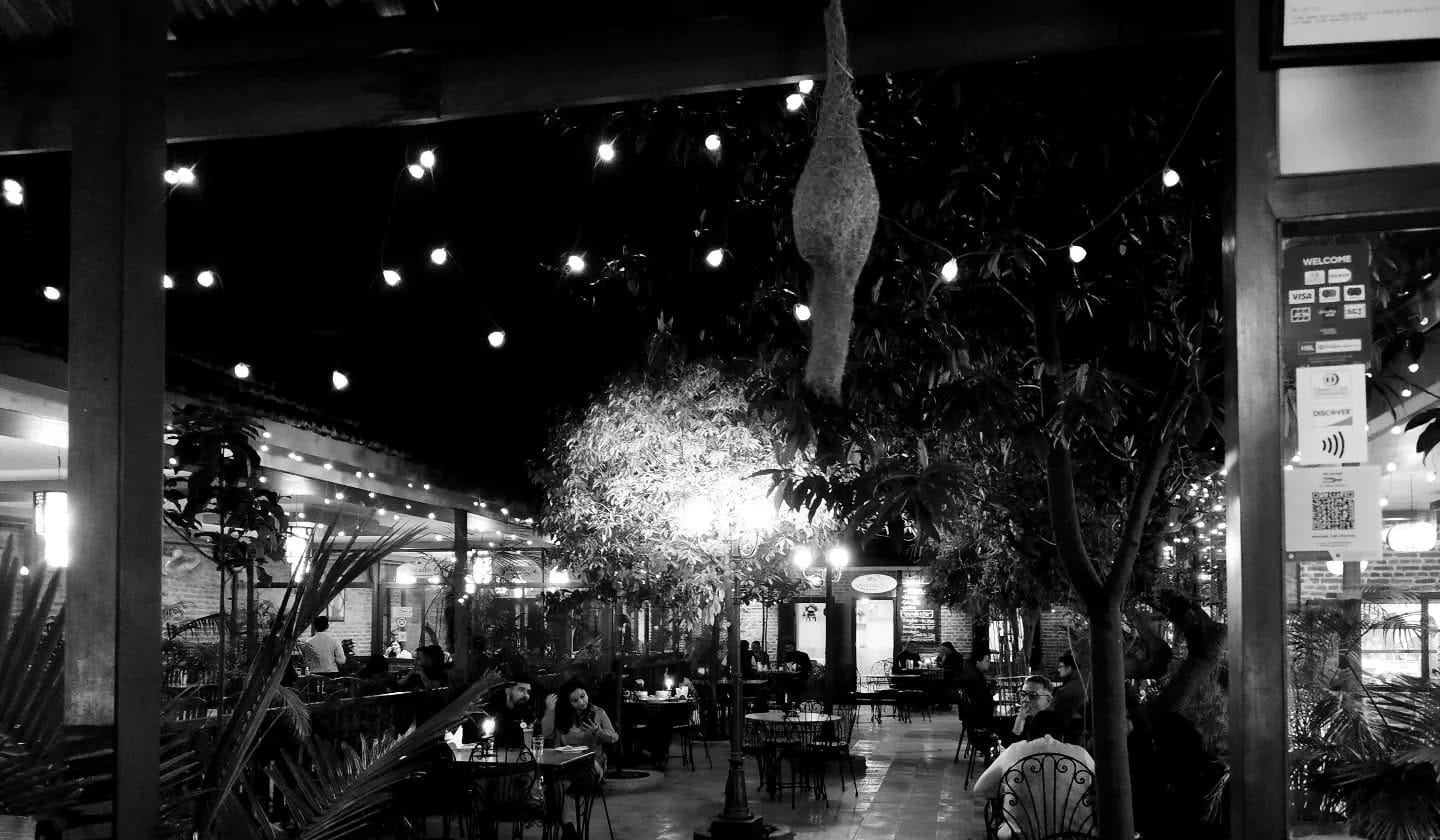 Avocado Cafe, Thamel