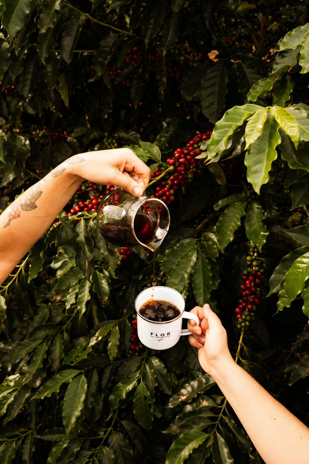 Pokhara Coffee Roastery photo 3