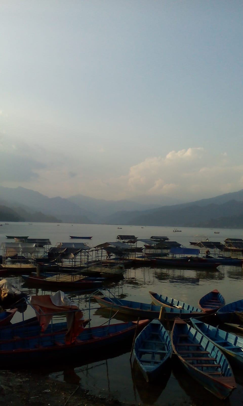 The Old Compass Cafe and Kitchen photo 4