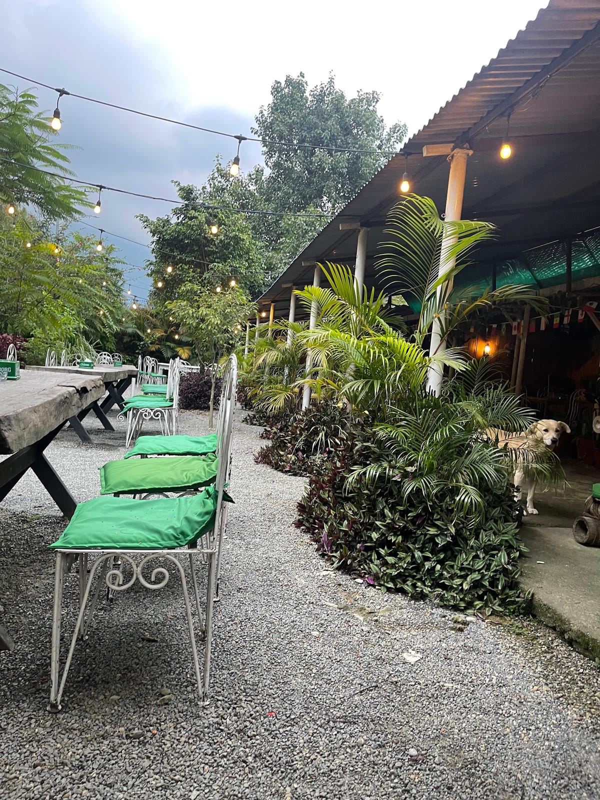 Zorba Restaurant / Cafe