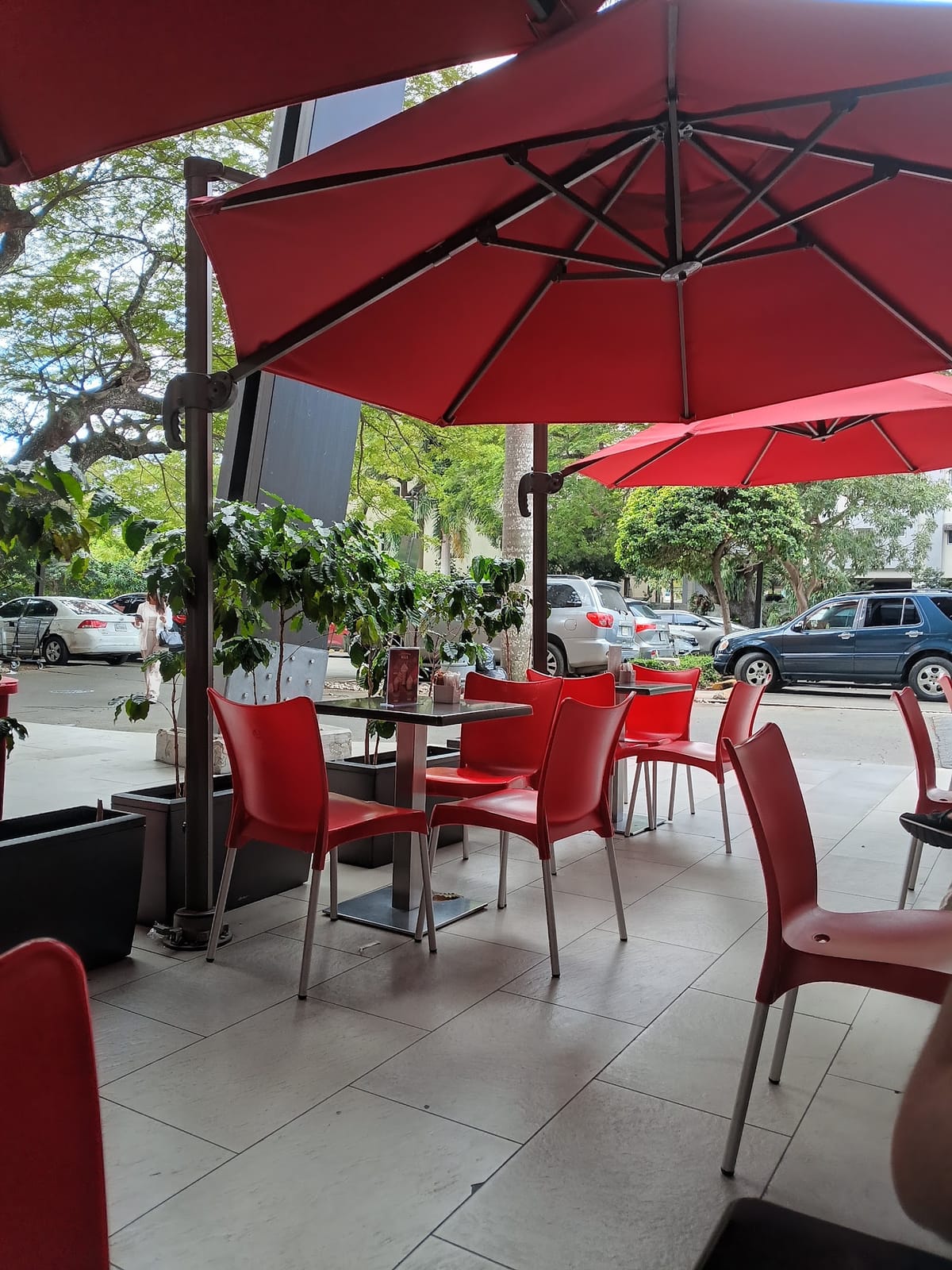 Abisinia (Cafe Santo Domingo)