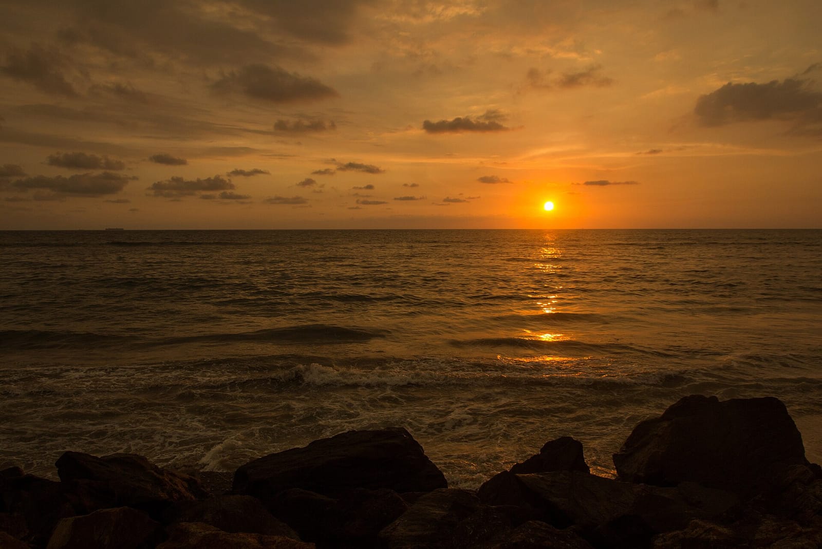A Healing Café - MaRadha Colombo photo 4
