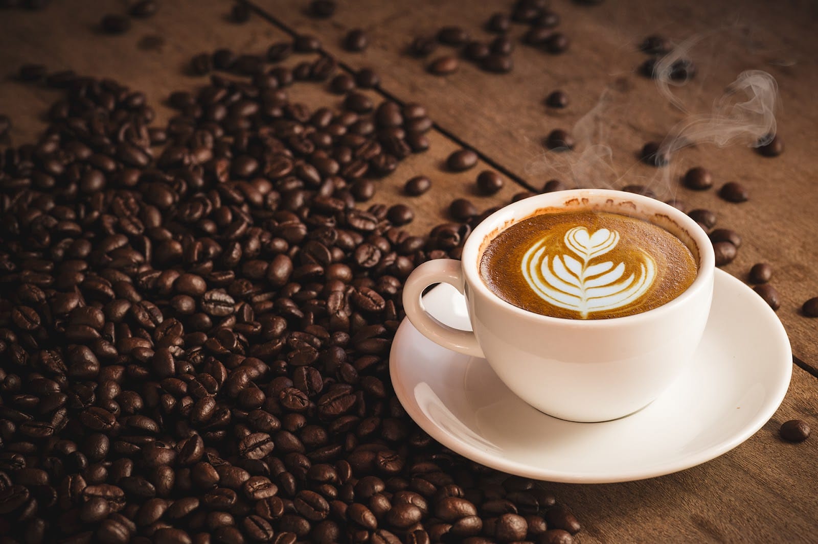 Ilays coffee shop