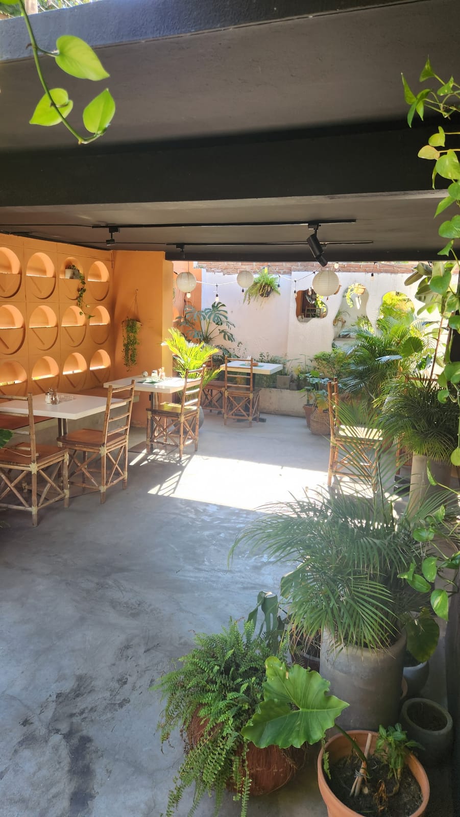 Artemisa Coffee Bar