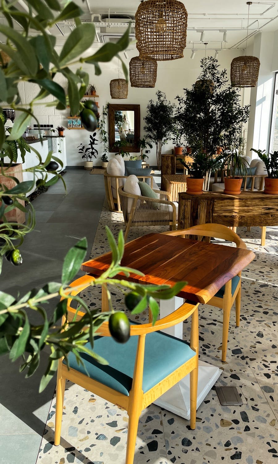 Shagar Cafe