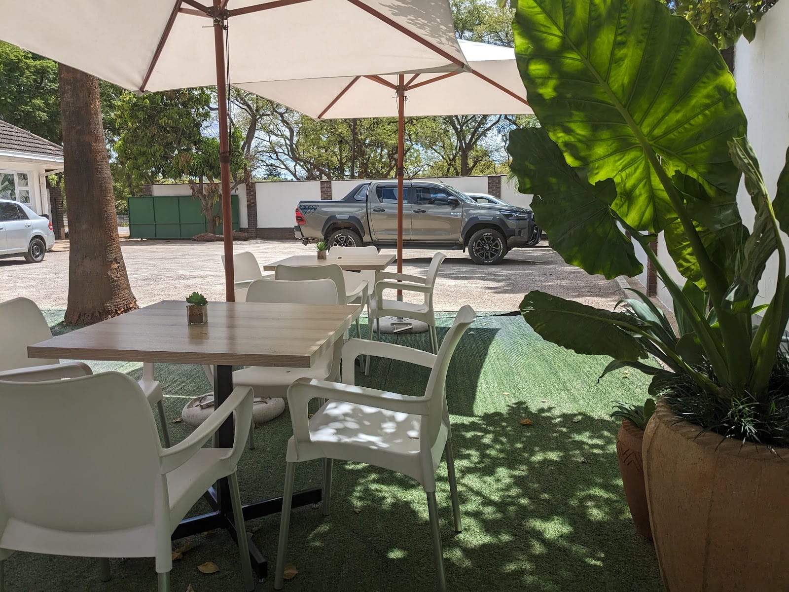 Zen Cafe