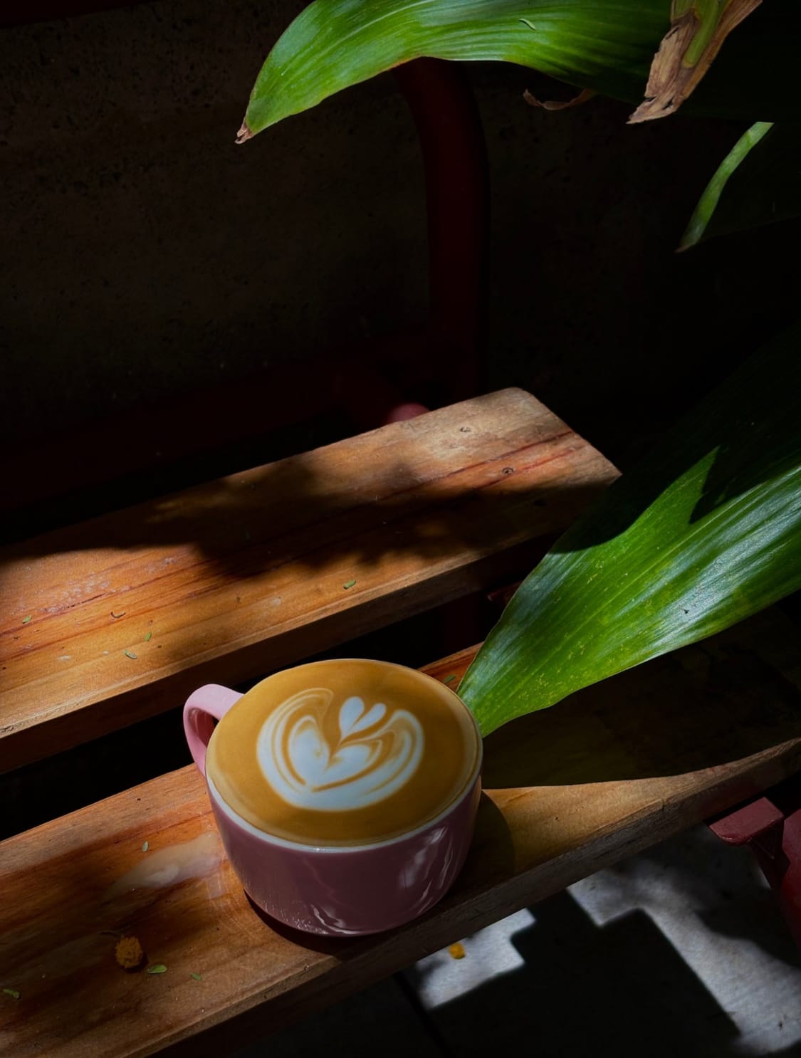 Pilgrim Coffee Co.