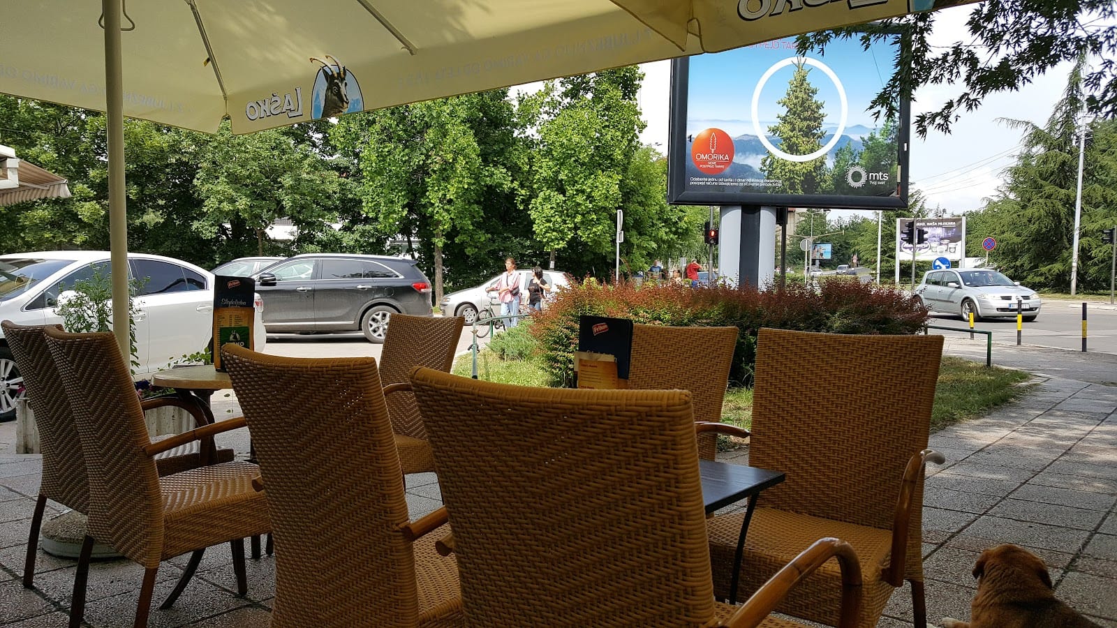 My Office Cafe