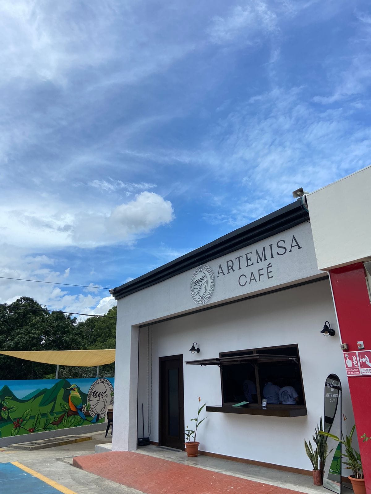 ARTEMISA CAFE BERNAL