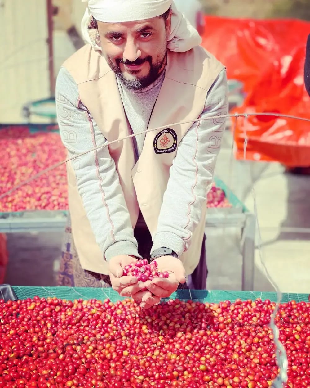 جولدن يافع كوفي Yafa Golden coffee photo 3