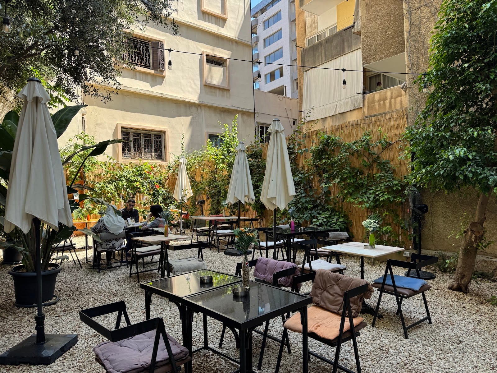 Olive Tree Cafe
