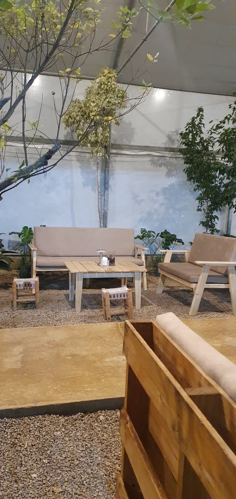 Monstera Coffee house