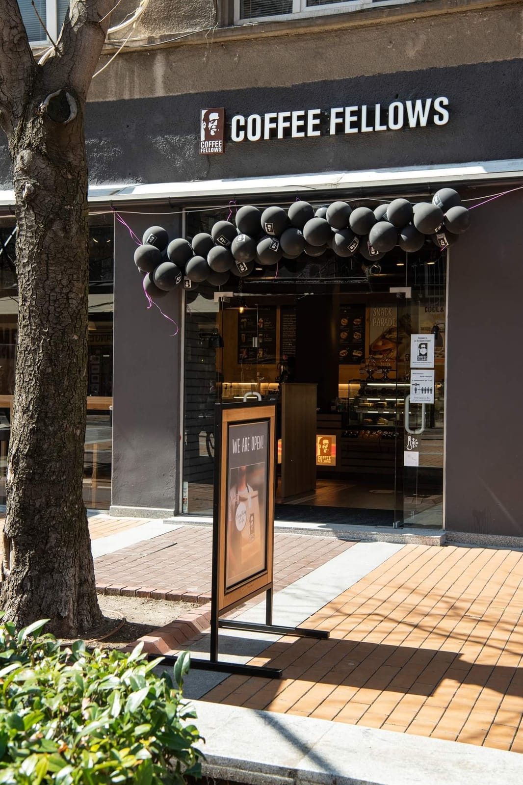 Coffee Fellows Vitosha