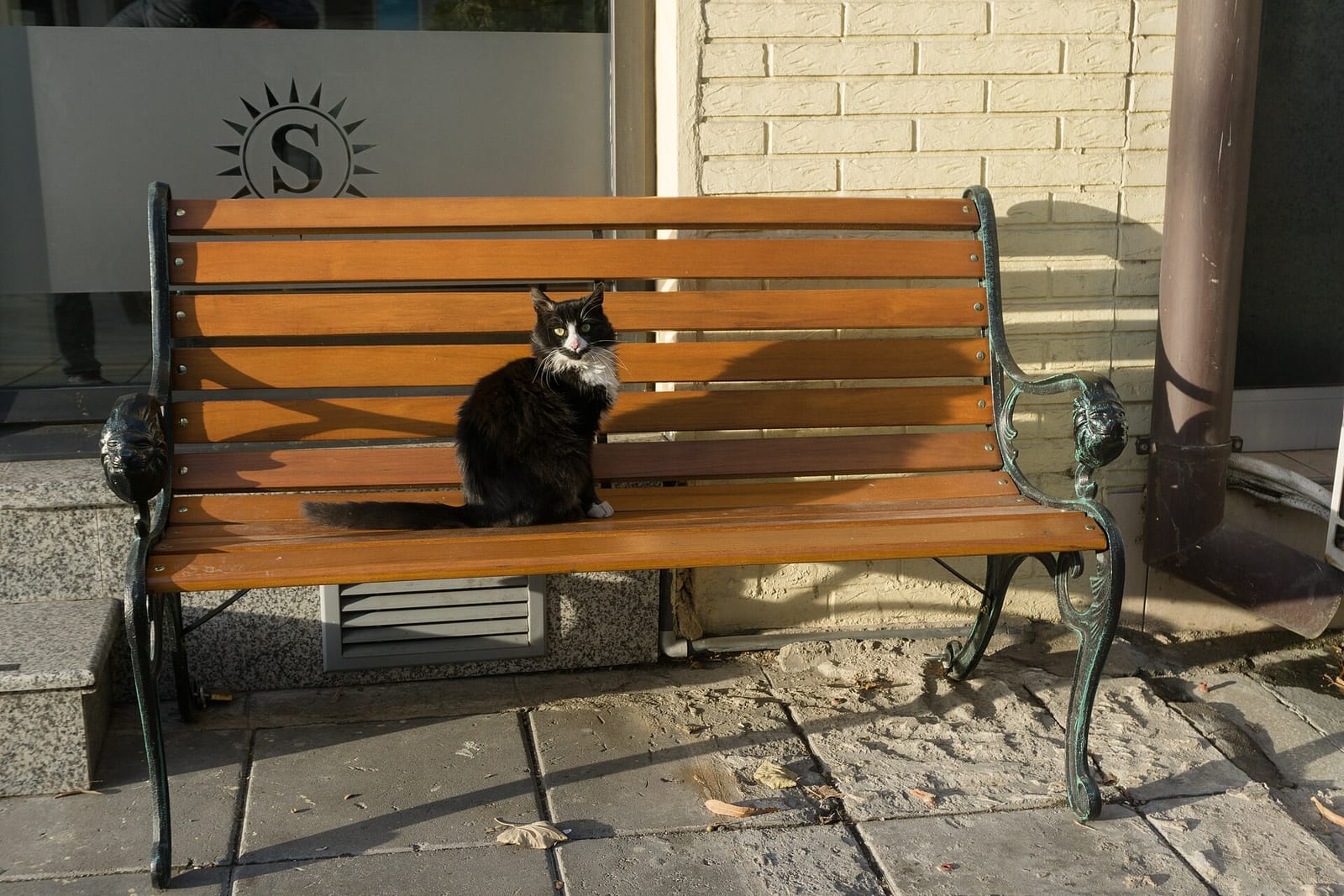 Cafe Lave photo 2