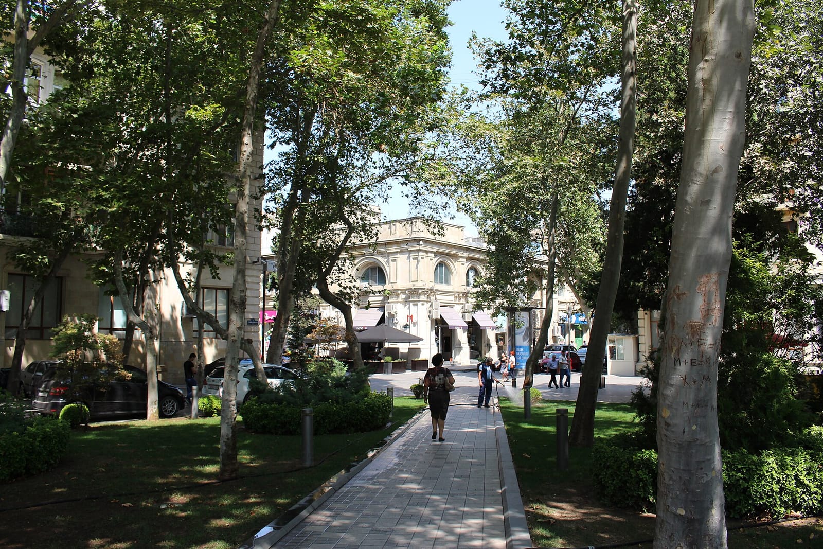 Cafe de Central photo 12