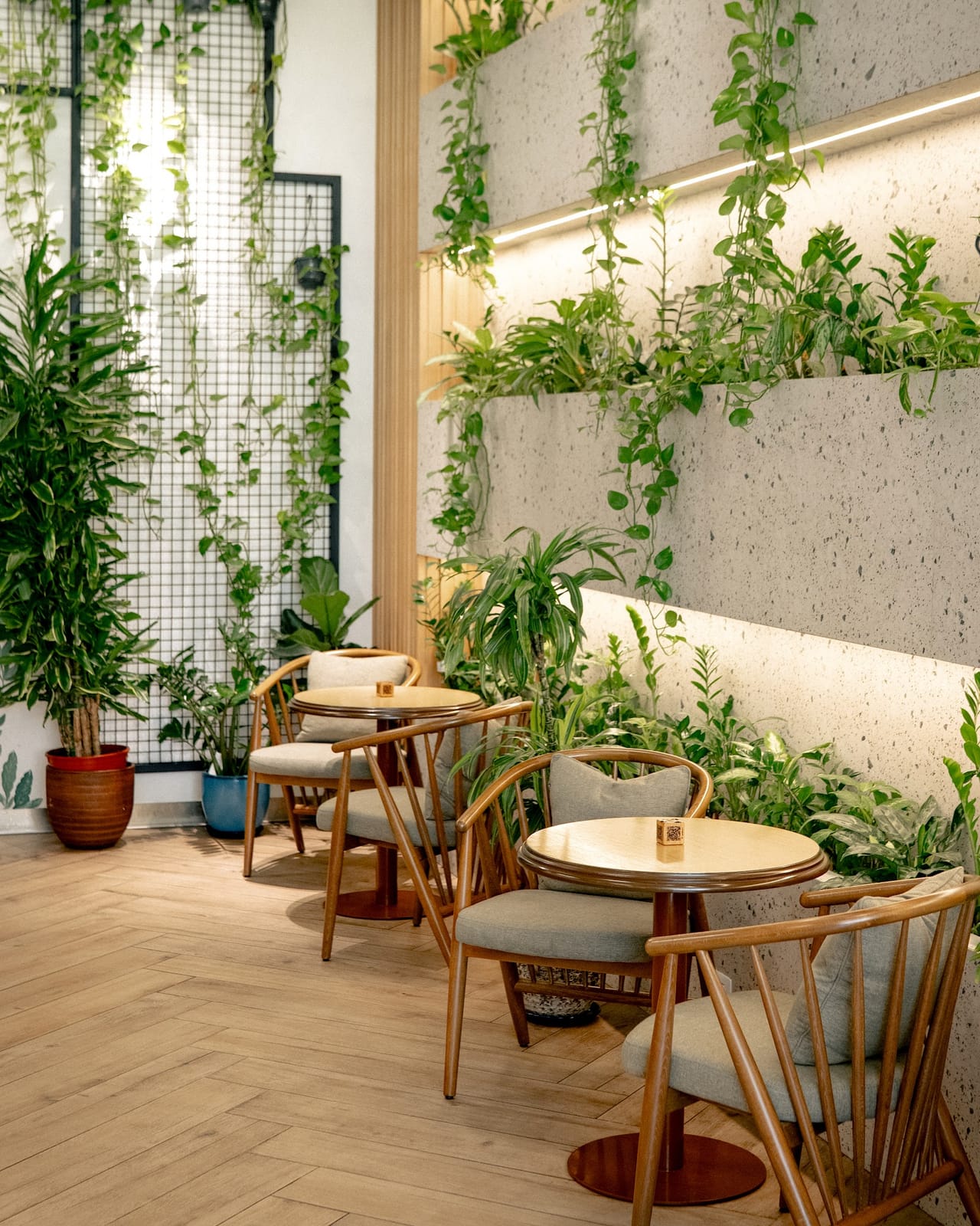 Cafe Botanist - Azadlıq