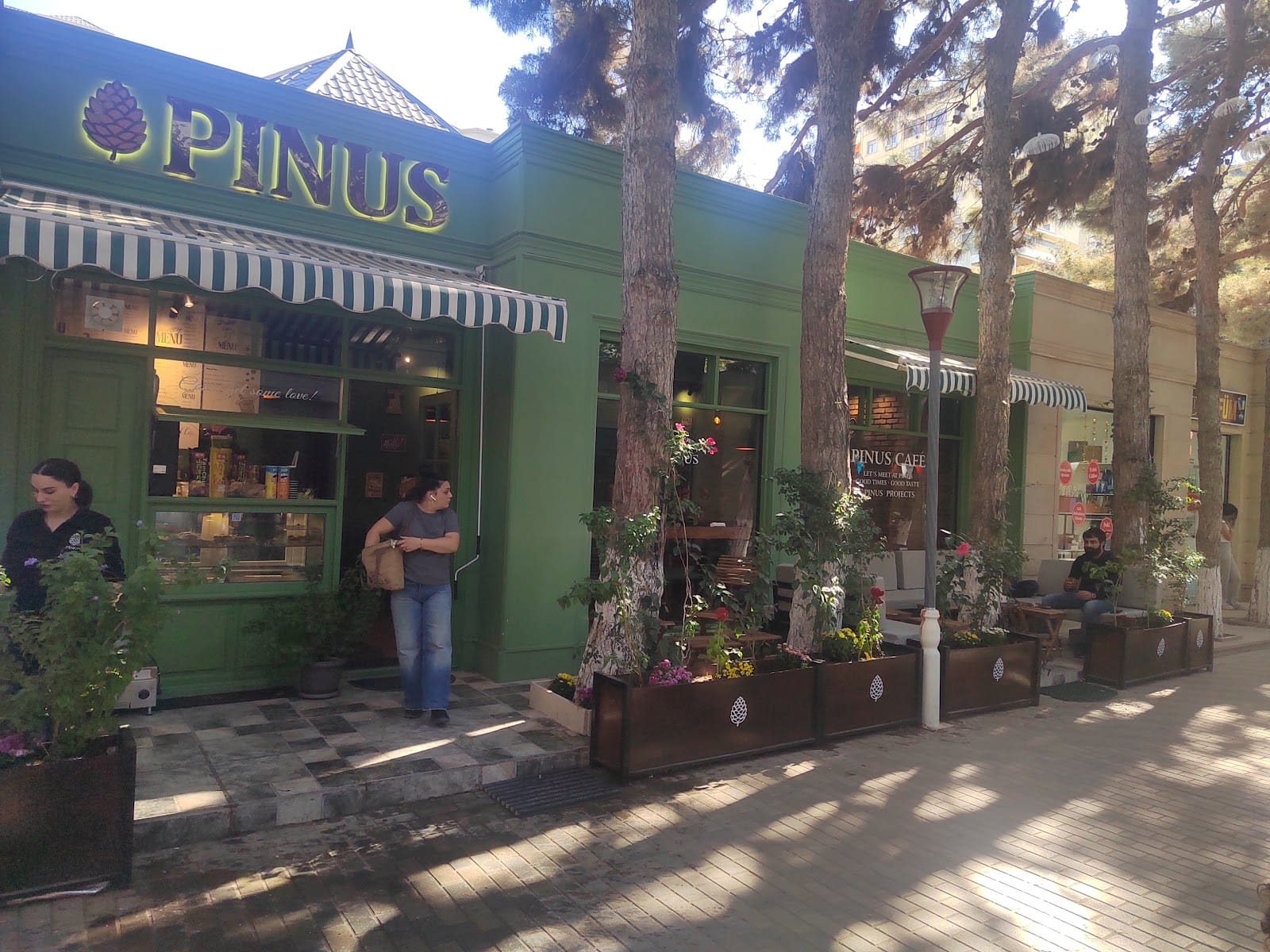 Pinus cafe