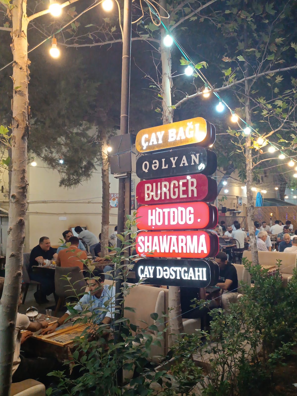 Çay Bağı