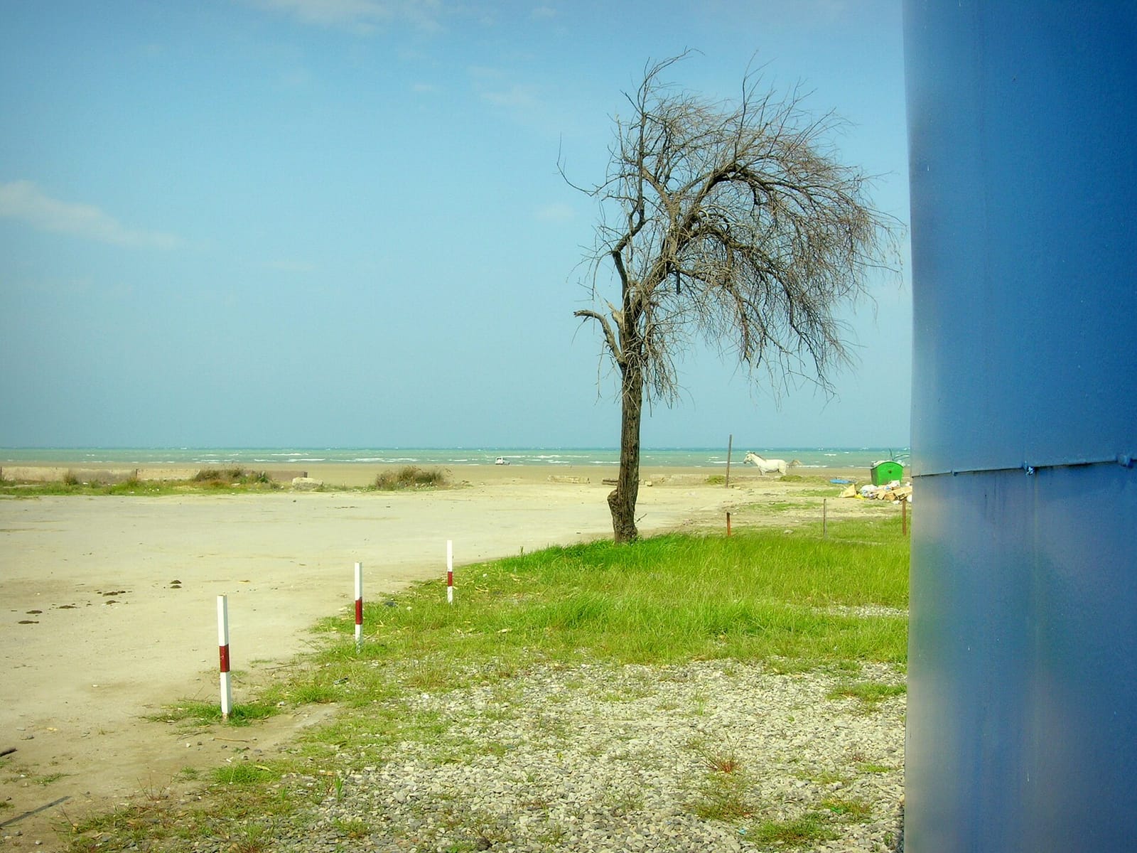 Nutelland cafe photo 2