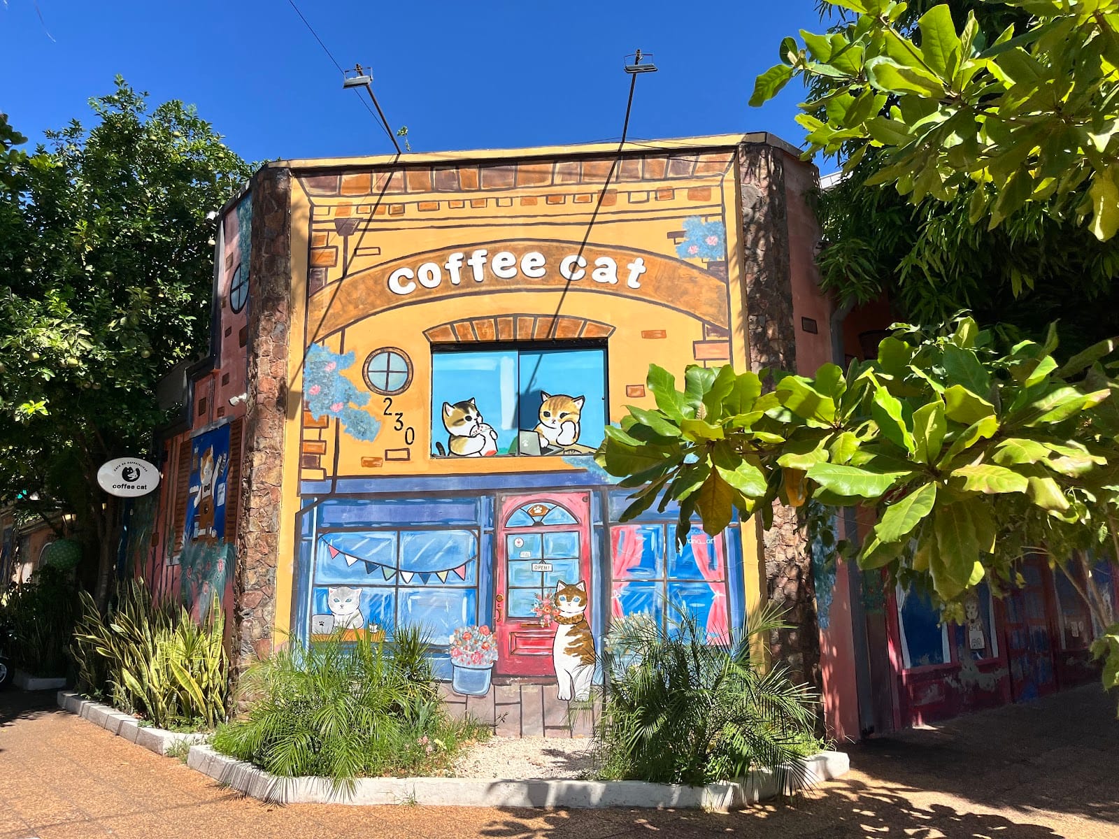 Coffee Cat