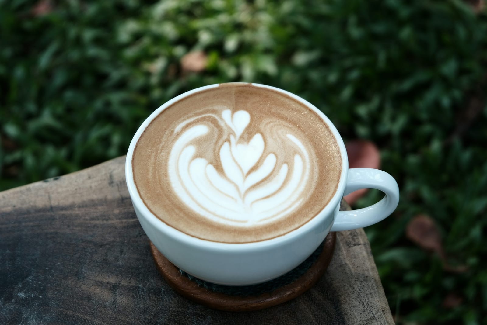 Coffee Life Boise photo 5